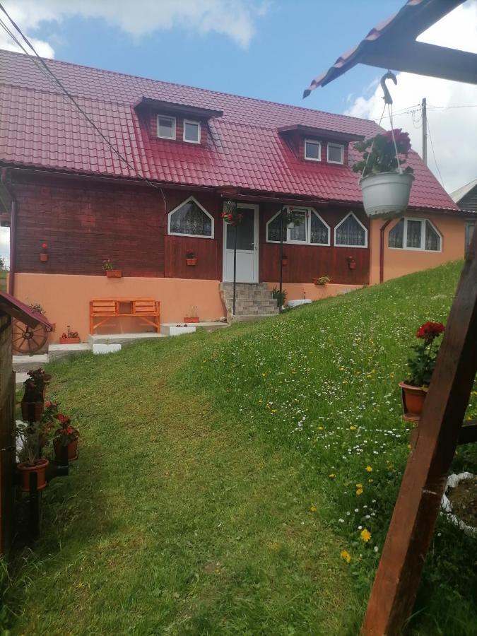 Cabana Daria Gîrda de Sus 외부 사진